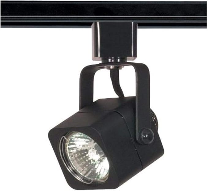 Nuvo Lighting TH313 One Light Track Head, Black