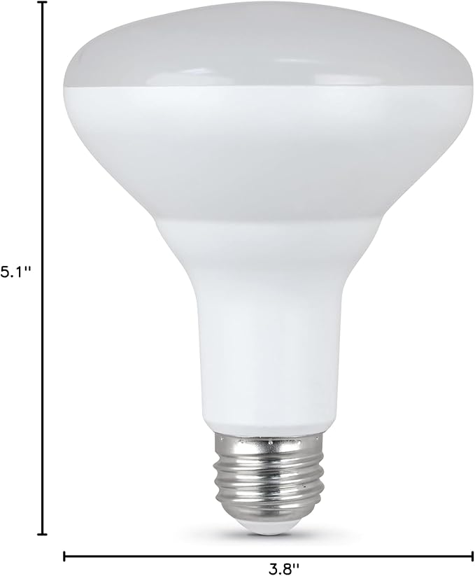 Feit Electric BR30 LED Light Bulbs, 100W Equivalent, Dimmable, E26 Standard Base, 80 CRI, 1400 Lumens, 5000K Daylight, 120V, 10 Years Lifetime, Damp Rated, 24 Pack, 100BR30DM85010KLED/6