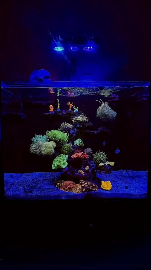 Aquarium Light 35W Reef Light for Coral SPS LPS Saltwater Light | Dimmable for SPS/LPS Corals,Sunrise, Sunset, Moonlight Modes, Ideal for 10-24in Nano Saltwater Reef Tanks Up To 40 Gallons