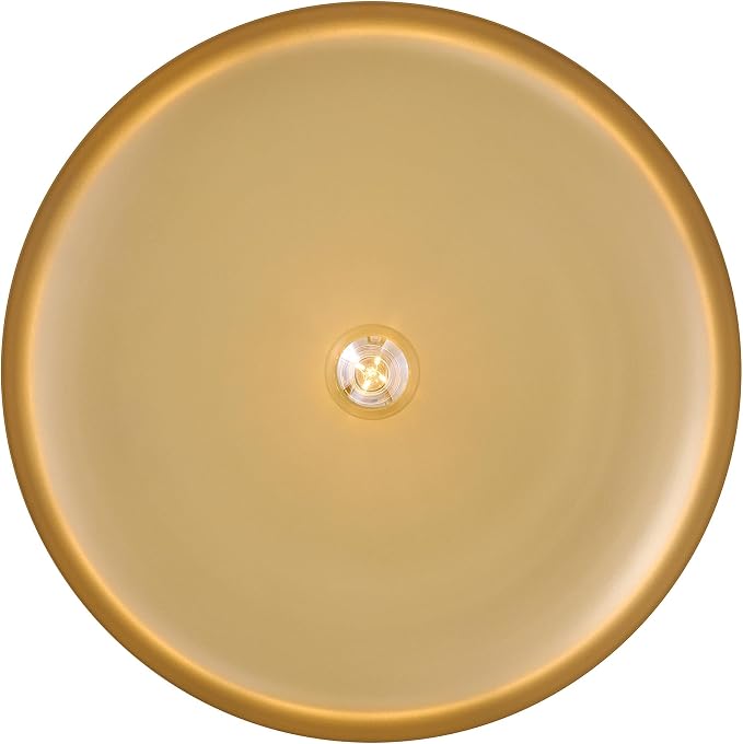 Hinkley Sadie 24" Large Dome Chandelier, Heritage Bronze/Lacquered Brass | Two Tone Saucer Pendant, Includes (5) 7" Downrods, Needs a Med. LED Bulb, Adjustable Height, Dining Room, Kitchen