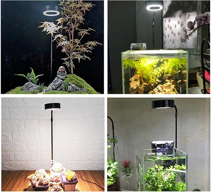 Full Spectrum LED Light for Under 3 Gallon Fish Tank with Bamboo Board | 10w Nano Fish Tank Light USB Powered 360 Degree Bettas Fish Tank Lights for Plant