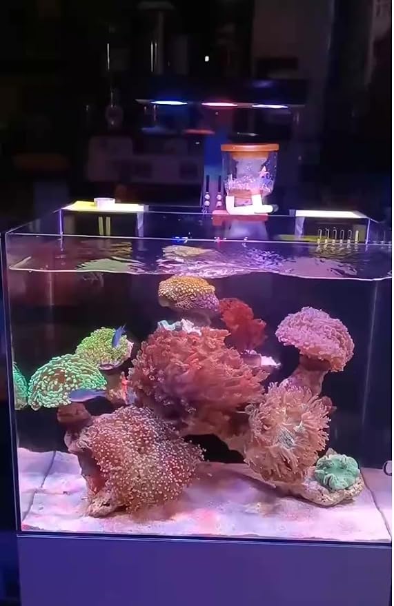 Aquarium Light 45W Reef Light for Coral SPS LPS Saltwater Light | Dimmable SPS/LPS Coral Light Sunrise, Sunset & Moonlight Modes, Perfect for 10–24in Saltwater Reef Tanks Up to 40 Gallons