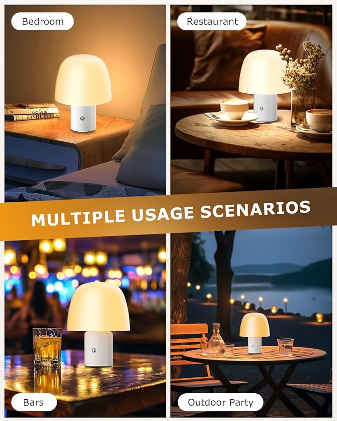 CHLORANTHUS Portable LED Table Lamp, Cordless Desk Lamp Rechargeable, 3-Color Touch Stepless Dimming Night Light for Bedroom/Children's Room/Terrace/Dining Room/Cafe (White)