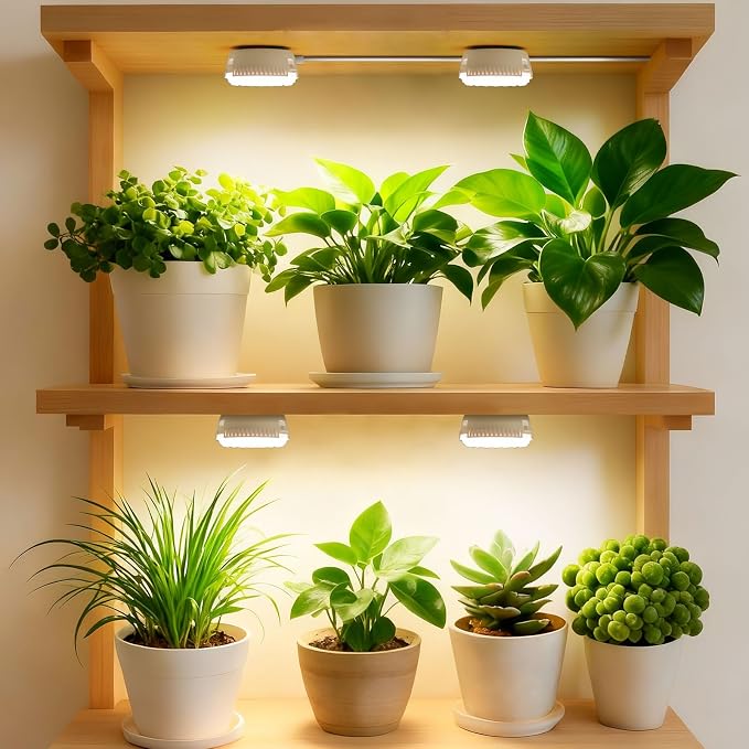 Puck Grow Lights for Indoor Plants, Dual 5W+5W Heads with Timer | Timer supports 4-, 8-, or 12-hour cycles with four brightness levels.
