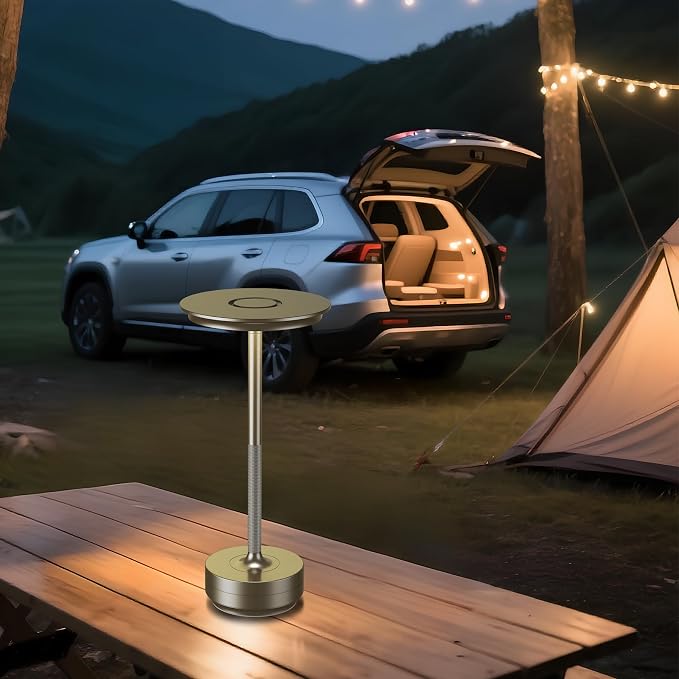 UdoUto 2-Pack Cordless Table Lamps Rechargeable, Silver | 5000mAh Battery Operated, LED Table Light, Touch Stepless Dimming, Portable Metal Outdoor Lamps