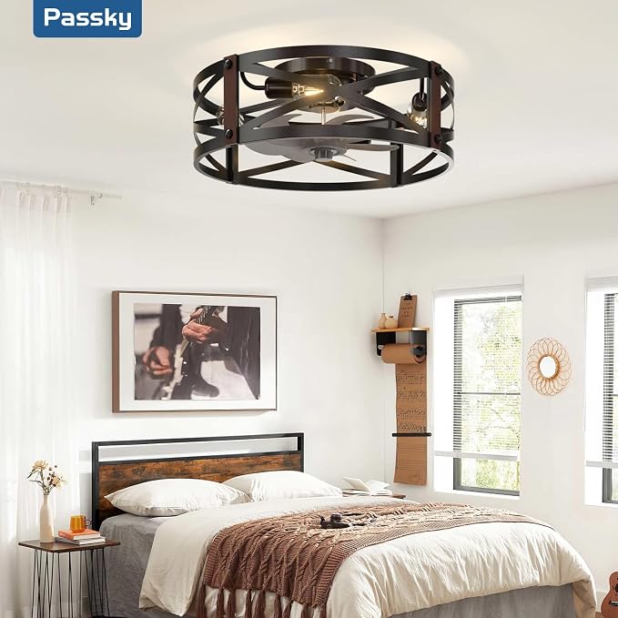 Passky 20" Caged Ceiling Fans with Lights and Remote, Low Profile Fandelier | Reversible DC Motor, 1/2/4H Timer, 6 Speeds, Farmhouse Style, Quiet Operation, for Bedroom, Kitchen, Dining Room, Living Room