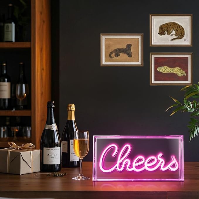 Cheers Neon Sign, USB LED Desk Lightbox Cheers Sign with ON/OFF Switch, 3D Neon Light up Sign for Table Decor, Wall Decor, Bar, Pub, Bachelorette Party (Pink)