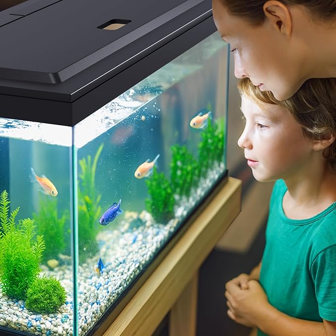 LED Aquarium Hood, White Lights, Fits 24" Framed Aquariums, Black | Adjustable Brightness White Tube Light, Replaceable Full-Length Bulb, Fits 24-Inch Framed Aquariums