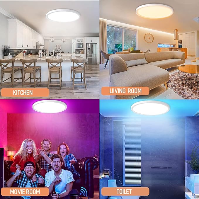 MELEGAN 12 Inch Smart RGB LED Flush Mount Ceiling Light (1 Pcs) | 24W RGB Mood Light, Multi Scenes, Night Light, Flush Mount, Dimmable 2700-6500K, WiFi Alexa Google, for Bedroom, Living Room