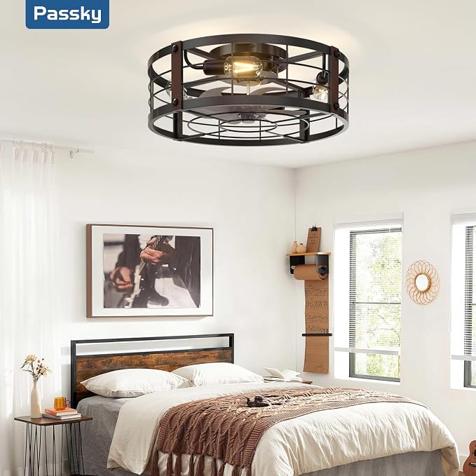 Passky 20" Caged Ceiling Fans with Lights and Remote, Low Profile Fandelier | Reversible DC Motor, 1/2/4H Timer, 6 Speeds, Farmhouse Style, Quiet Operation, for Bedroom, Kitchen, Dining Room, Living Room