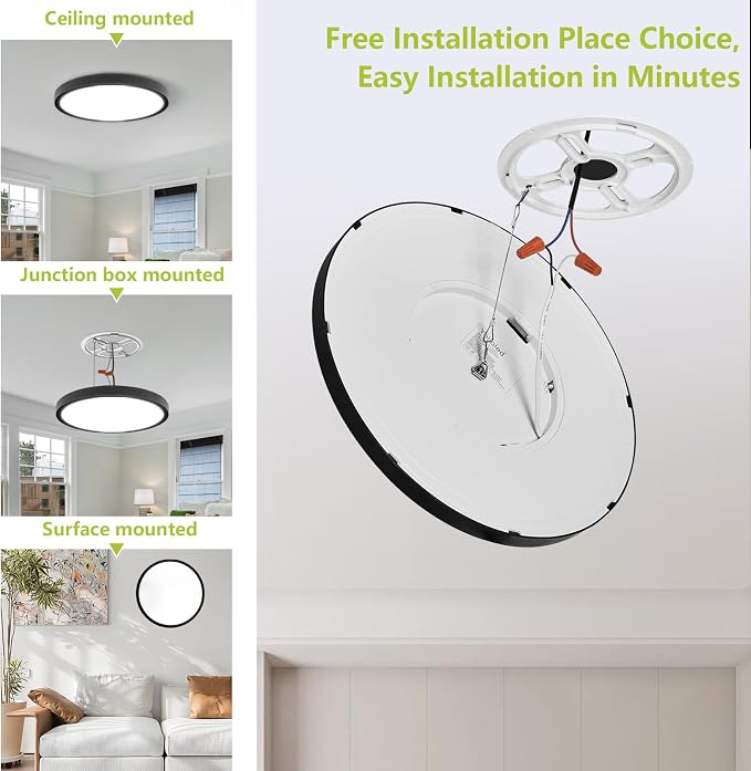 20 Inch Remote Control LED Flush Mount Ceiling Light, 42W 4200LM Dimmable & 2700K-6500K Color Temp Adjustable, Ultra-Thin Flat Round Fixtures for Bedroom Kitchen Office Apartment, Black