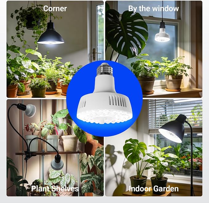 Barrina OG11A Grow Light Bulbs for Indoor Plant, 5000K 11W, 4 Packs, White | Integrated Dimming & Timing, E26 Plant Light Bulb, Full Spectrum, High PPFD for Seeds and Greens