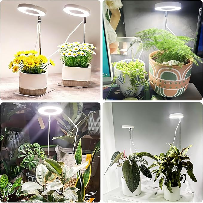 White Small Halo Grow Light with Base, Full Spectrum Indoor Plant Grow Light, Height Adjustable, 3 Spectral Modes, 10 Brightness Levels, Automatic Timer 3/9/12 Hours, 3 Pack