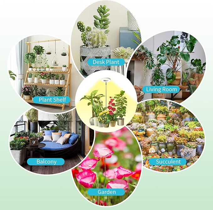 Halo Ring Grow Lights for Small Indoor Plants, Warm+White 48LEDs Full Spectrum Plant Light, Height Adjustable with 5V 2A Adapter, 3/9/12H Timer, 3 Spectral Modes, 10 Dimmable Levels, Angel Ring 1 Pack