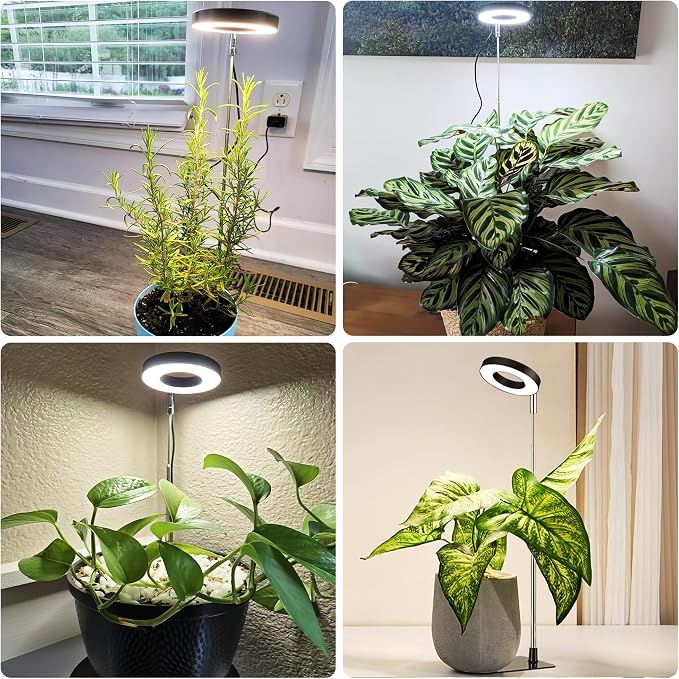 Small Halo Grow Light with Base, 48 LED Full Spectrum Indoor Plant Grow Light, Height Adjustable, 3 Spectral Modes, 10 Brightness Levels, Automatic Timer 3/9/12 Hours, Black