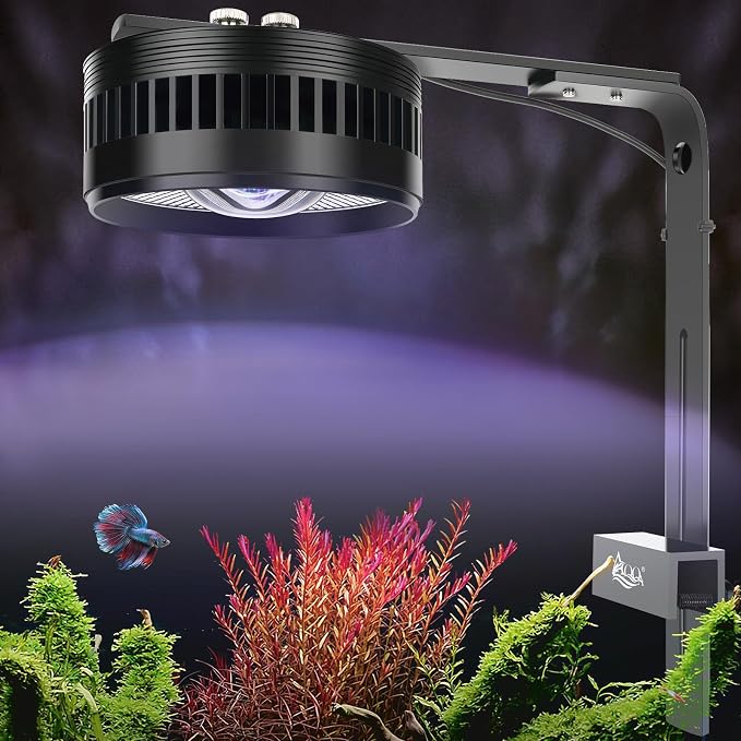 AQQA Clip-On Aquarium Light, Full Spectrum LED Fish Tank Stream Light | with 3 Modes (White/RGB/Full Spectrum), Timer & 6 Brightness Levels, Adjustable Clamp for Freshwater Plants Fish Tanks