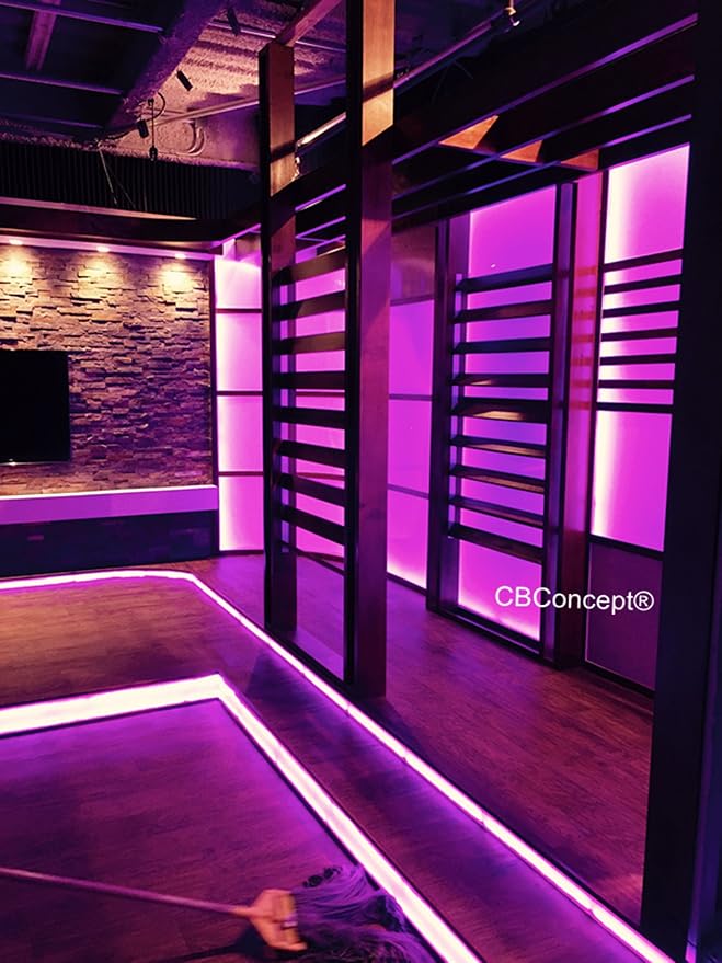 UL Listed, 13 Feet, 1400 Lumen, Pink, Dimmable, 110-120V AC Flexible Flat LED Strip Rope Light, 240 Units 3528 SMD LEDs, Indoor Outdoor Use, Accessories Included, Ready to use