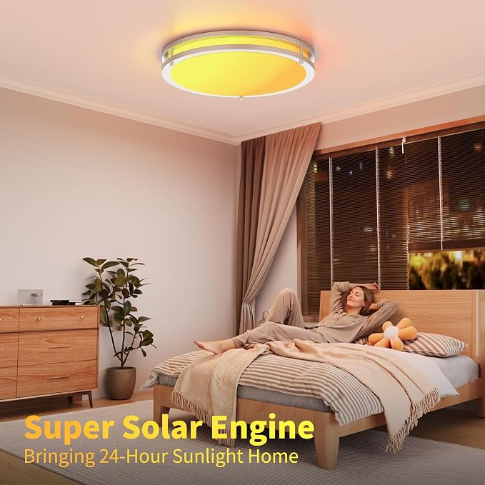 Ceiling Lights Flush Mount with Remote: LED Silver Ceiling Lighting 8 Modes Dimmable Color, Adjustable Temperature for Bedroom, Living Room, Kitchen (16 Inch)