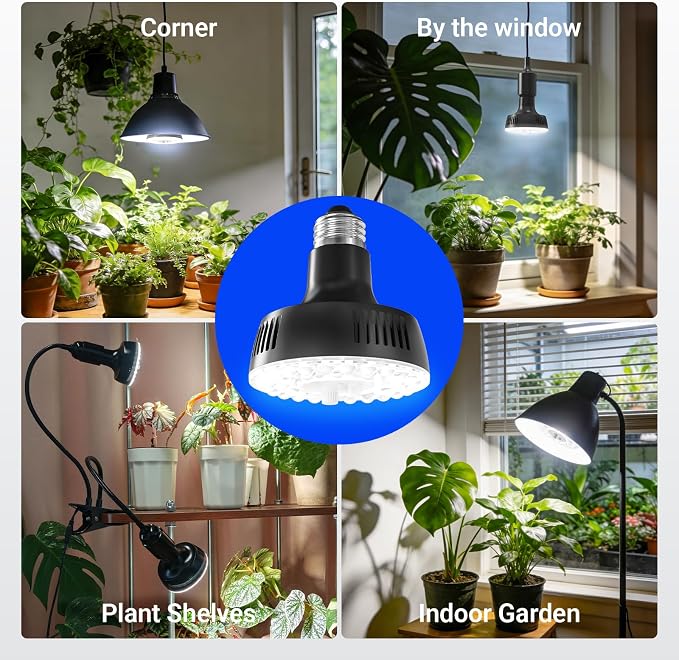 Barrina OG11A Grow Light Bulbs for Indoor Plant, 5000K 11W, 3 Packs, Black | Integrated Dimming & Timing, E26 Plant Light Bulb, Full Spectrum, High PPFD for Seeds and Greens
