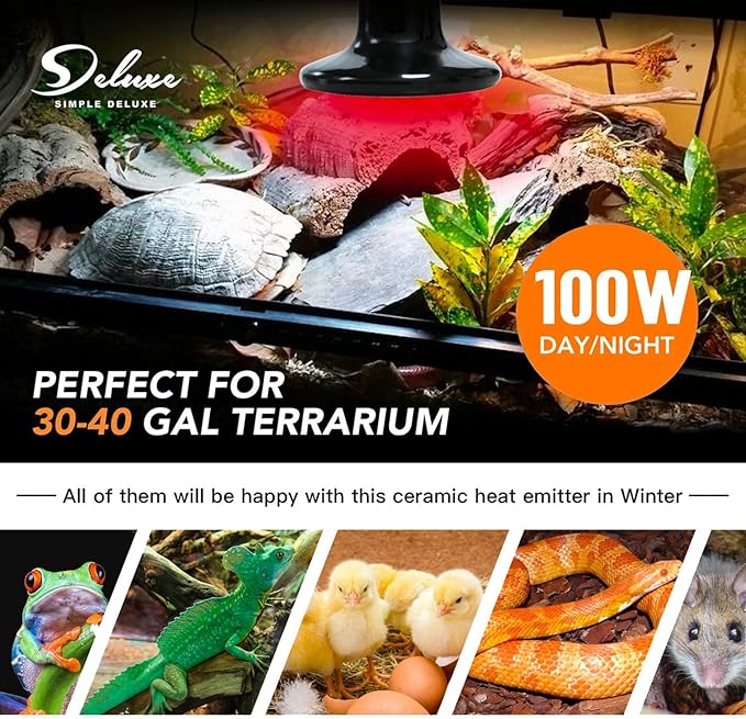 Simple Deluxe 100W Ceramic Reptile Heat Lamp Bulb No Light Emitting Brooder Coop Heater & Digital Heat Mat Thermostat Controller Combo for Amphibian Pet & Incubating Chicken, Black