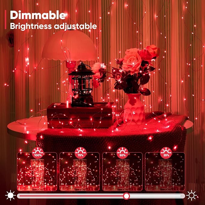 Ariceleo 1 Pack 16.4 Ft. Battery Operated Outdoor String Lights with Remote & Timer, LED Red Fairy Lights, Waterproof Twinkle Lights for Bedroom, Dorm, Mason Jar, Wedding, Party, Christmas