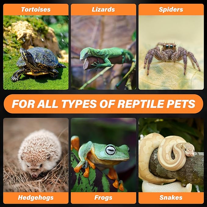 Simple Deluxe 100W Ceramic Heat Emitter, Reptile Heat Lamp No Light Emitting Heat Bulbs for Amphibian Terrarium, Bearded Dragon Lizard Snake Turtle, Brooder Coop Incubating Chicken