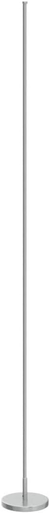 Minimalist Corner Floor Lamp - 2700K-6500K Dimmable LED Light | Modern Standing Mood Lamp with Remote Control for Living Room, Bedroom - 57" - 12W - Silver - 1Pack
