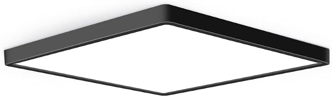 12inch 24W LED Flush Mount Ceiling Light, 3000K Square LED Ceiling Light, Black Flat Panel Lighting for Bedroom, Kitchen, Living Room