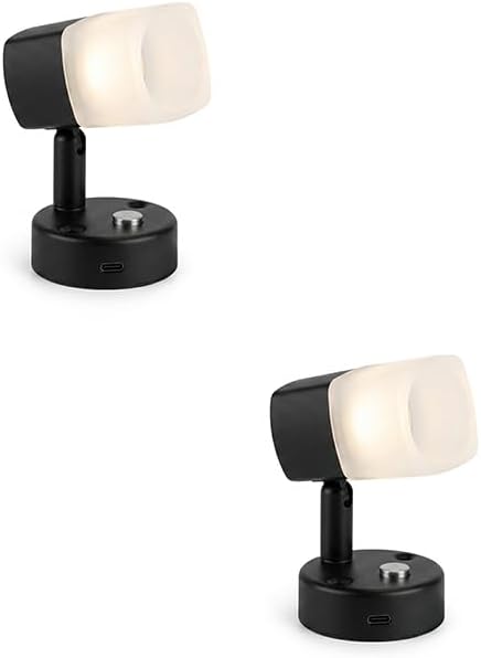 12V RV Wall Light 2 Pack, LED Bedside Reading Lamp with USB & Type-C Charging Ports, Warm White 3000K–3200K, Adjustable Interior Light for Camper, Trailer, Motorhome