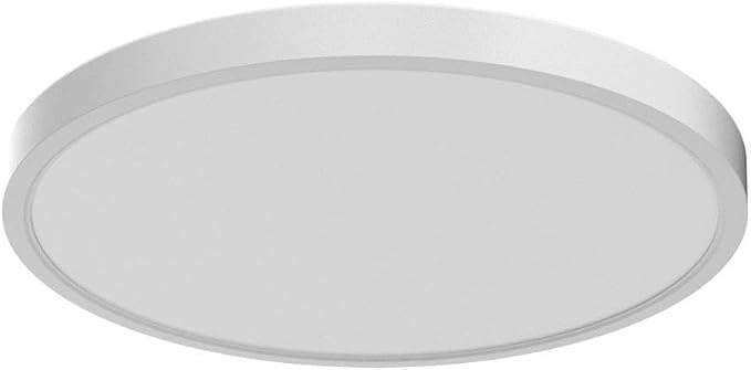 TALOYA Flush Mount Ceiling Light, Round 36W 15.8 inch Daylight Modern Ceiling Light, LED Light Fixtures Ceiling Mount, Close to Ceiling Lights for Bedroom, Kitchen, Laundry Room, Living Room