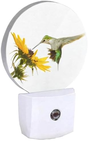 EKOBLA Hummingbird Plug-in Nightlights Bird and Sunflower Night Lights Plug into Wall with Dusk to Dawn Sensor LED Lighting for Living Room Kitchen Stairway Bathroom Bedroom