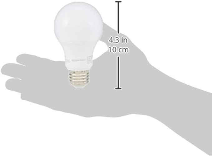 Amazon Basics 60W Equivalent, Daylight White, Non-Dimmable, Energy Efficient, 10,000 Hour Lifetime, A19 LED Light Bulbs, 6-Pack