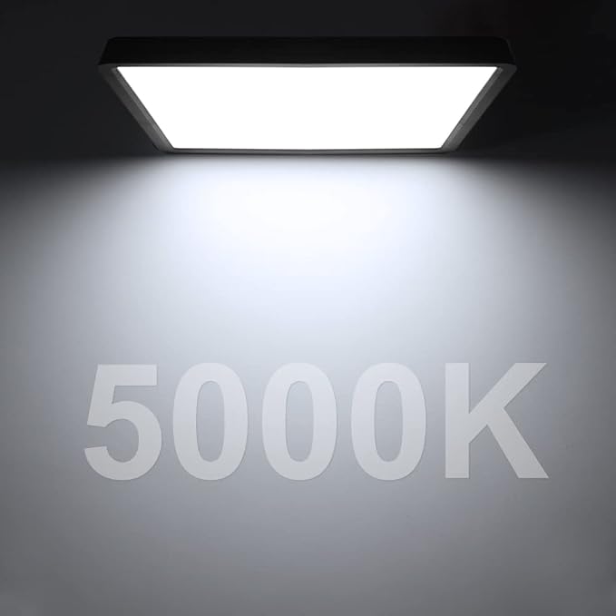 12inch 24W LED Flush Mount Ceiling Light, 5000K Square LED Ceiling Light, Black Flat Panel Lights for Bedroom, Kitchen, Living Room