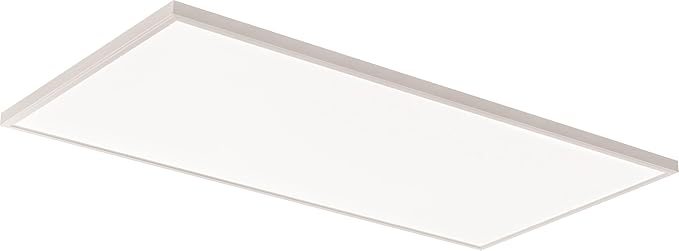 Lithonia Lighting CPANL 2x4 LED Flat Panel Light, 2 ft. by 4 ft. LED Light Panel, Ceiling Lighting Fixture, 3500K/4000K/5000K Switchable CCT, Includes Direct Ceiling Mount Bracket (2-Pack)