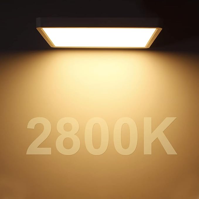 LED Flush Mount Ceiling Light Fixture, 2800K Warm White, 12inch 24W, 3200LM, Slim Flat Panel Lighting Fixture, Square Modern Ceiling Lamp for Bedroom, Kitchen, Living Room, Closet, Stairwell, IP40