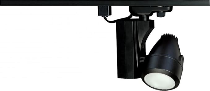 Nuvo Lighting TH386 Transitional One Light Track Head from Track Heads Collection in Black Finish