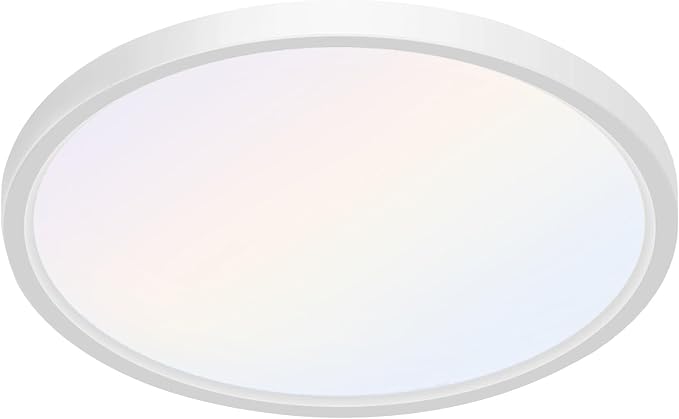 Flush Mount 12 Inch Ceiling Light Fixtures 24W Ultra-Thin 0.7" | 5CCT 2700K-3500K-4000K-5000K-6500K, Edge-Lit LED Round Flat Panel Light for Living Room Bedroom Bathroom Hallway, White