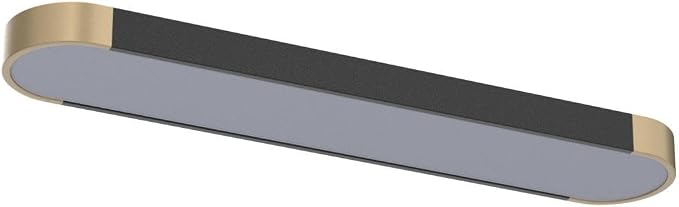 Tioolo Modern Ceiling Light, Dimmable LED Ceiling Light with Remote, 27.5in | Linear Flush Mount Ceiling Light, Black Gold Ceiling Light Fixture, 3000K-6500K, Memory, 36W for Kitchen, Hallway, Closet