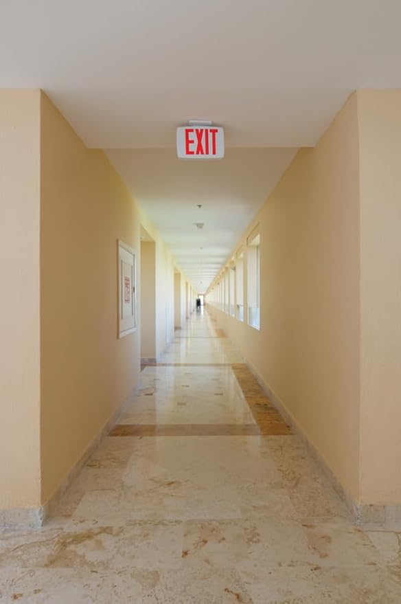 Lithonia Lighting Single-Sided LED Exit Sign, Thermoplastic Construction, Switchable Red and Green Colors, AC Power, Includes Extra Faceplate, White (EXRG M6)
