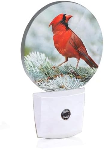 Cardinal Night Light Northern Red Bird On Tree Branch Plug-in Nightlight LED Auto on/Off for Hallway Stairway Kitchen Men Women Bedroom