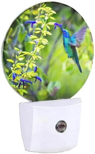 EKOBLA Hummingbird Night Light, Spring Garden Bird and Flower Night Lights Plug Into Wall with Auto Sensor for Home Indoor Decor