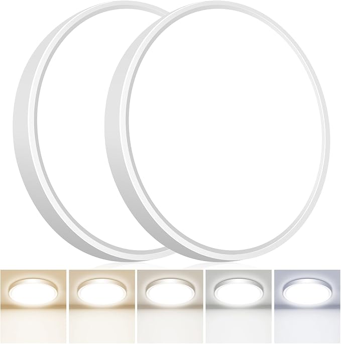 hepside 2Pack 12Inch LED Flush Mount Ceiling Light Fixture 5CCT 24W 2800LM Closet Light Fixture,Small Round Slim Surface Ceiling Lamp for Hallway,Bathroom,Bedroom,Kitchen,Interior