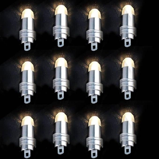 Non-Blinking LED Mini Lights Battery Operated Small LED Lights for Balloon Paper Lantern Party Decoration (Warm White, Pack of 12)