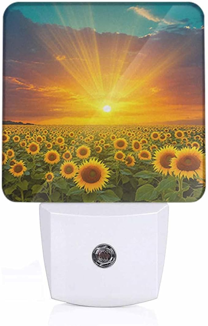 Sunflower Fields Night Light Sunset Beautiful Golden Yellow Sunflowers LED Night Lights Plug into Wall for Stairway Hallway Bedroom 0.5W Nightlight