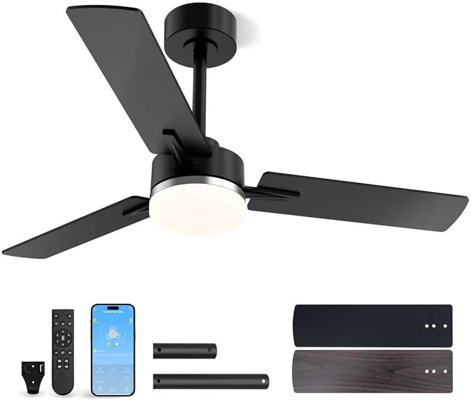 LANMEL Metal Ceiling Fan with Lights and Remote, 42 Inch, Silver & Black | Modern Low Profile Flush Mount, Reversible, 3CCT Dimmable, Quiet, LED, For Bedroom, Living Room, Indoor/Outdoor Patio Use