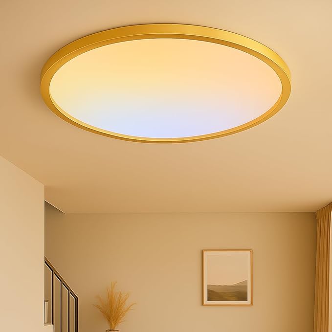 MOONSEA 20 Inch Flush Mount LED Ceiling Light Fixture 42W Golden | Adjustable 3000K/4500K/6000K, 4200LM Bright Kitchen Light Fixture, 10-100% Brightness Adjustable, 0.98in Low Profile