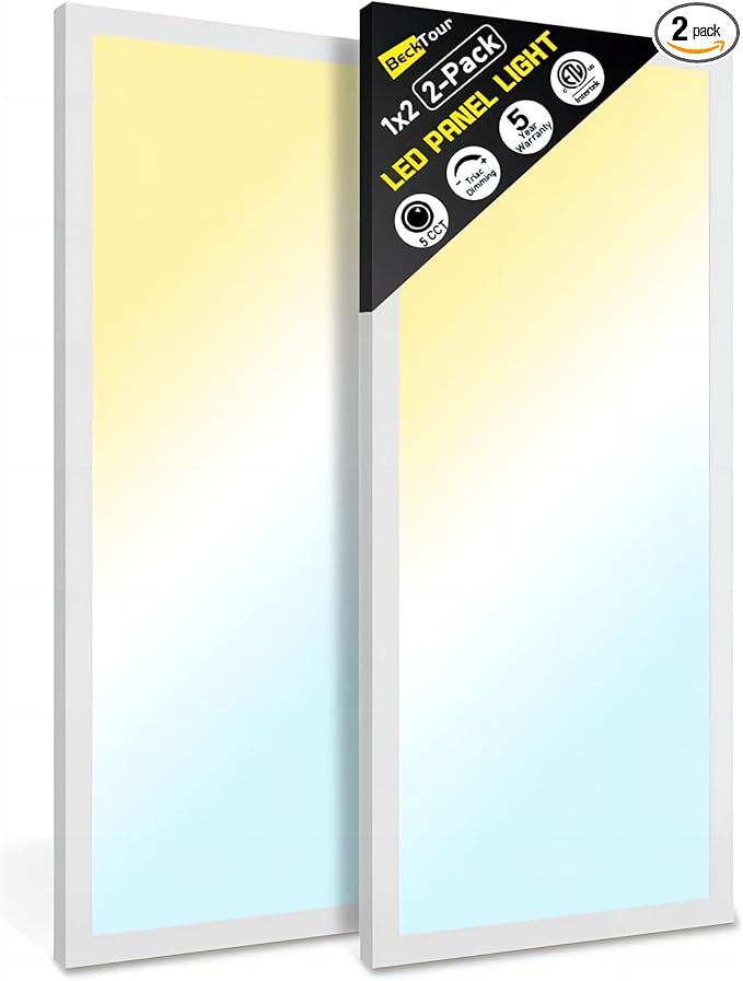 1x2 LED Flat Panel Light Surface Mount 2-Pack, Flush Mount Ceiling Light 24W 2880LM, 5CCT 3000K/3800K/4500K/5200K/6000K, Dimmable Panel Lights