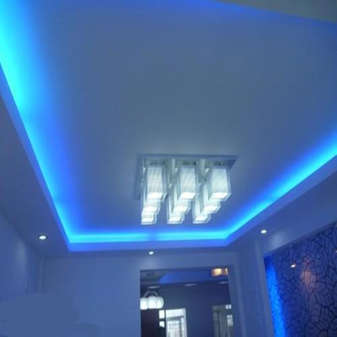 9.9ft 2-Wire Waterproof LED Rope Light Kit,110V-120V PVC 30 LED/M Tube Lights Strip for Background, Outdoor, Christmas, Home Decoration(Blue)