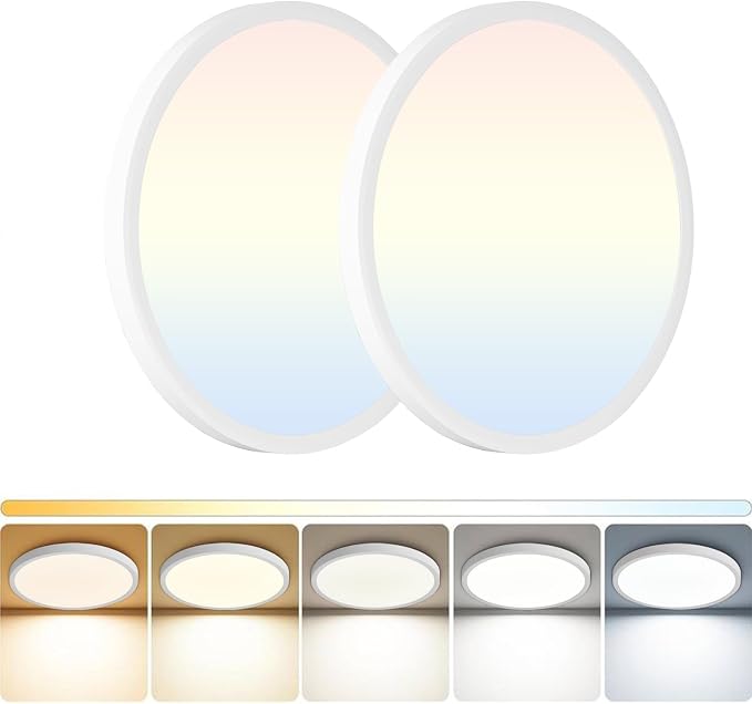 LED Flush Mount Ceiling Light: 12 inch 2Pack Super Slim Dimmable & 5CCT (2700-6500K) Kitchen Lighting Fixtures Ceiling - 24W White Low Profile Ceiling Lamp for Bedroom Garage Hallway