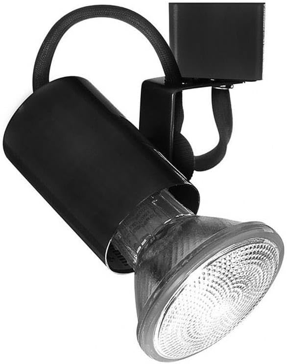 WAC Lighting, TK-178 Line Voltage Track Head in Black for H Track